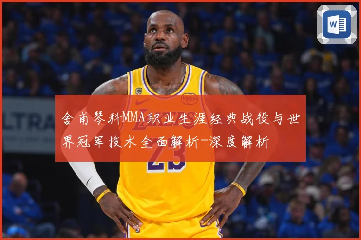 舍甫琴科MMA职业生涯经典战役与世界冠军技术全面解析-深度解析