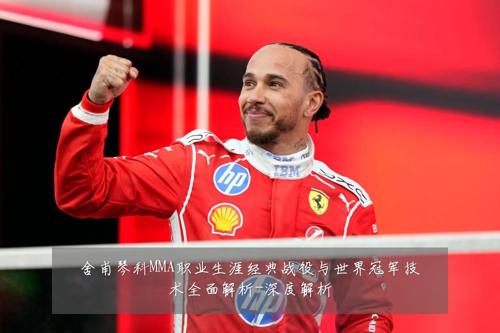 舍甫琴科MMA职业生涯经典战役与世界冠军技术全面解析-深度解析